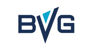 Brand Velocity Group